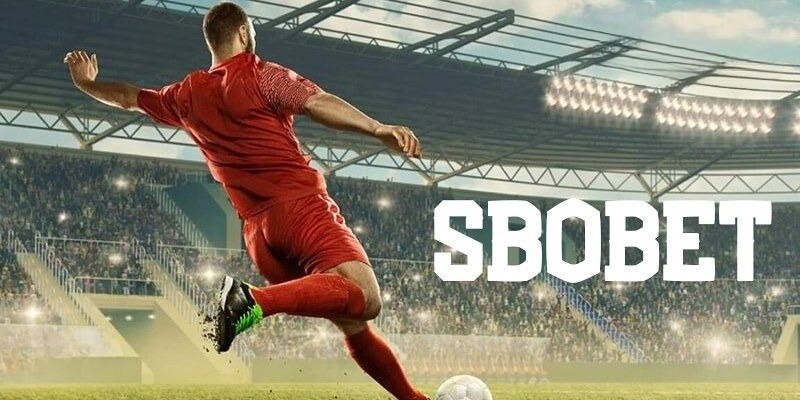s6666 đăng nhập mậu binh uy tín