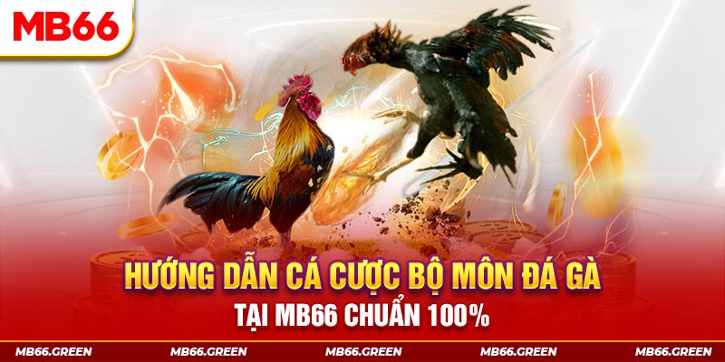 s6666 kết quả xổ số miền bắc ngày hôm nay