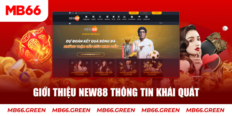 s6666 c1 gà chọi