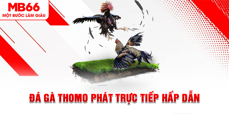 s6666 xổ số thứ tư