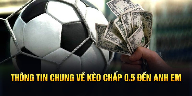 s6666 nổ hũ b29 là gì