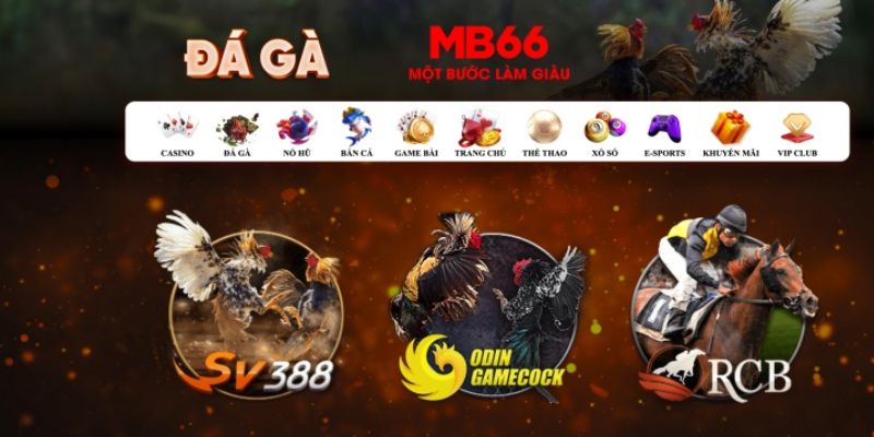 s6666 what is casino bonus wagering