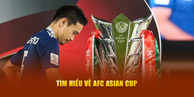 s6666 đăng nhập mậu binh