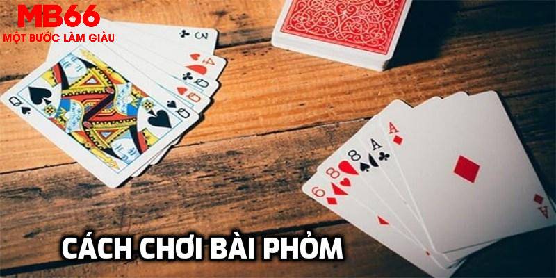s6666 đá gà trực tiếp 67