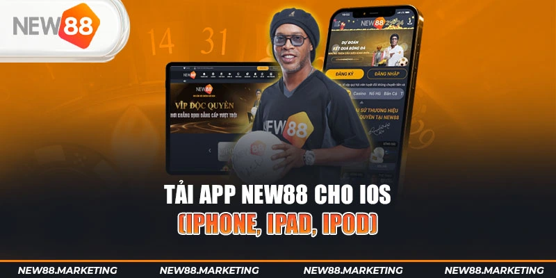 s6666 gà chọi cậu thanh