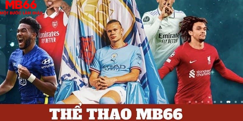 s6666 bản tình ca mùa đông