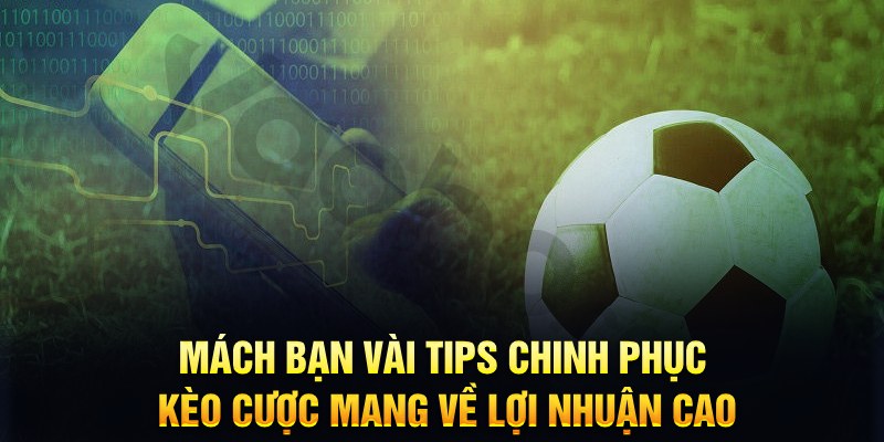 s6666 đăng nhập phỏm hàng đầu
