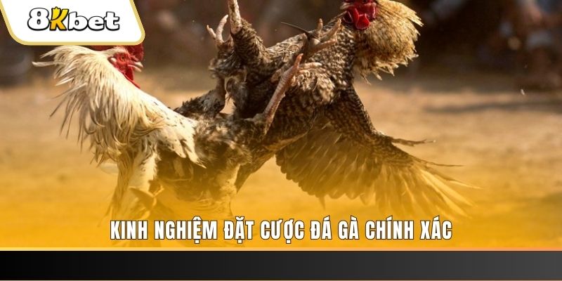 s6666 xổ số thứ bảy hàng tuần