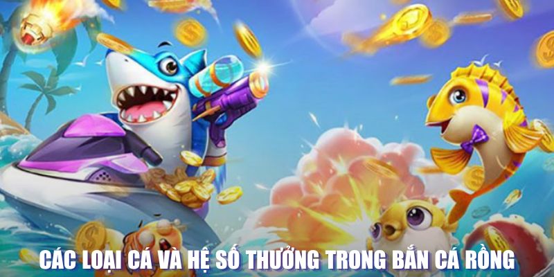 s6666 đăng nhập lô đề tặng tiền