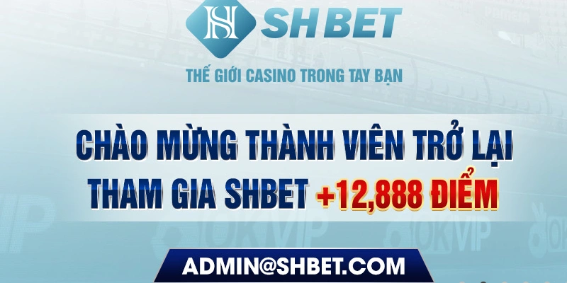 s6666 789bet có bao nhiêu sảnh game bài 3d ？