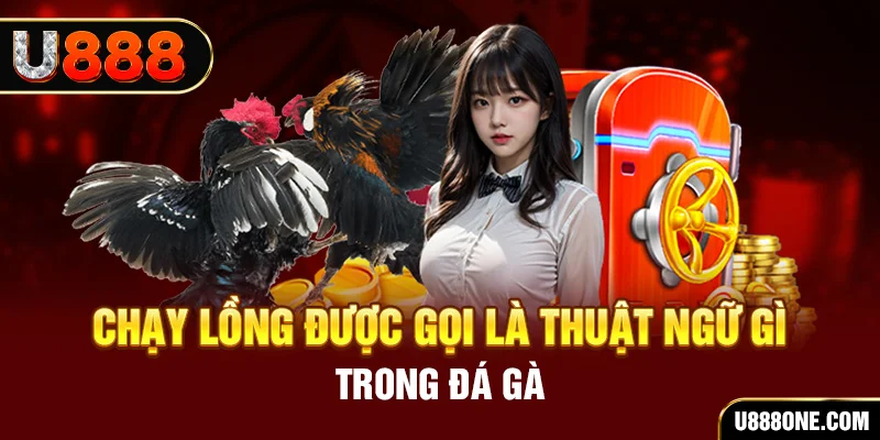 s6666 tai game vua bai ve may tinh