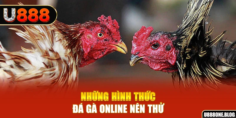 s6666 nổ hũ ai là gì