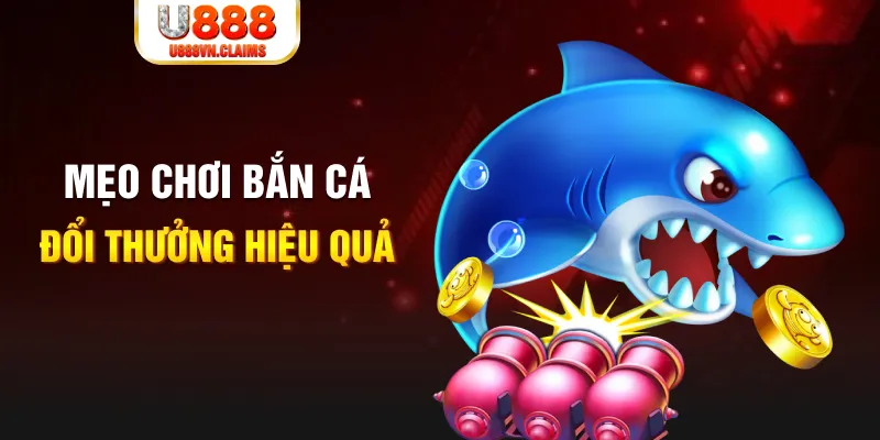 s6666 gà chọi cam ranh