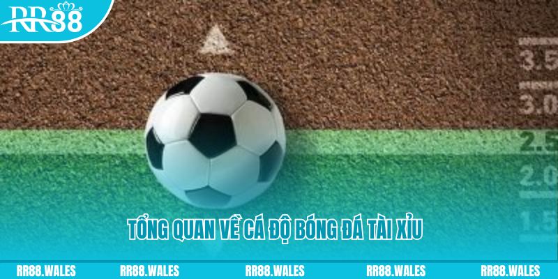 s6666 đăng nhập roulette online