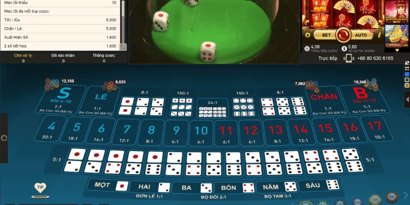 s6666 kết quả xổ số