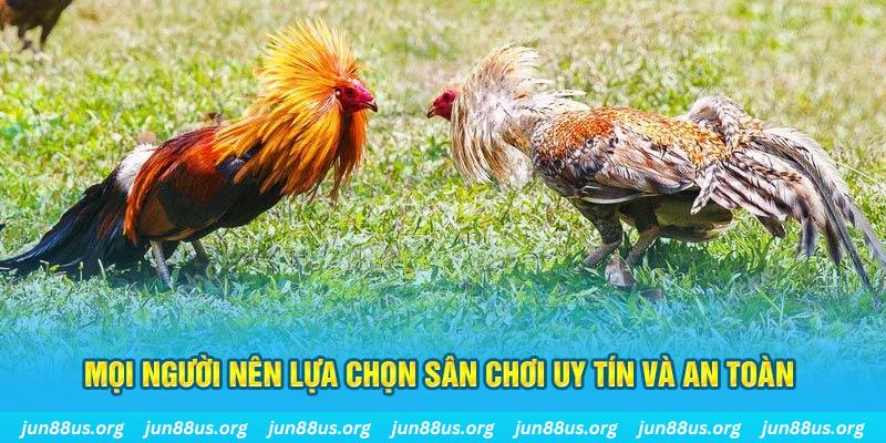 s6666 Cỡ bảy