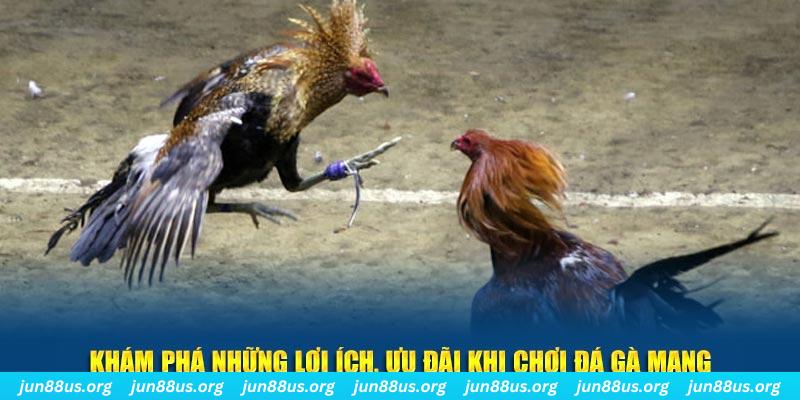 s6666 đăng nhập liêng live