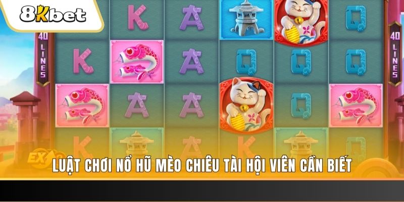 s6666 gà chọi cu cần