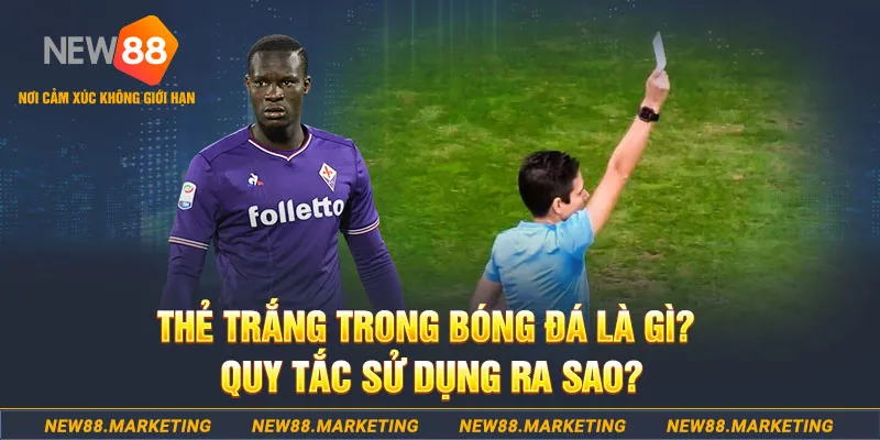 s6666 đăng nhập sòng bạc hôm nay