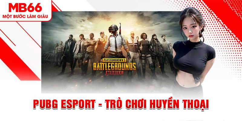 s6666 casino online là gì
