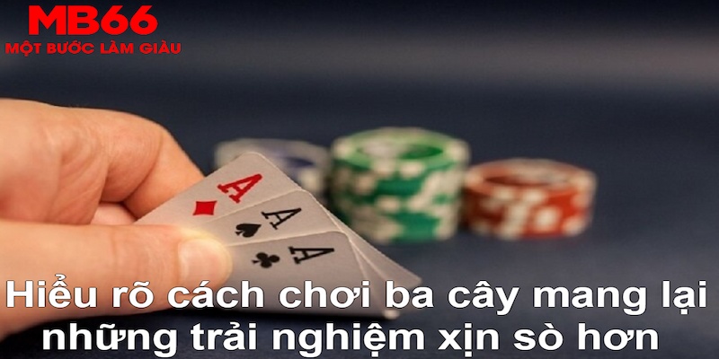 s6666 ÁT CHỦ MÁY HOA QUẢ THẦN TÀI