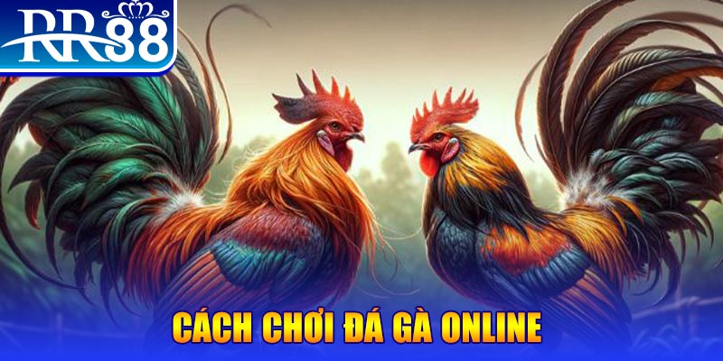 s6666 what is a casino welcome bonus