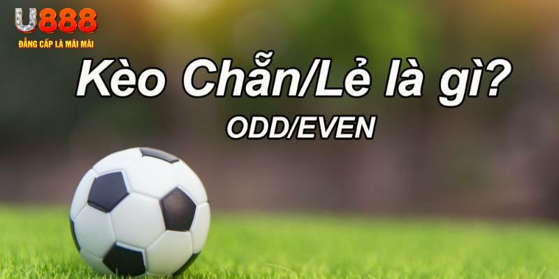 s6666 đăng nhập sòng bạc 2024