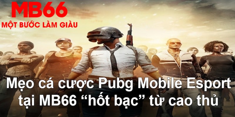 s6666 đăng nhập nổ hũ mới nhất