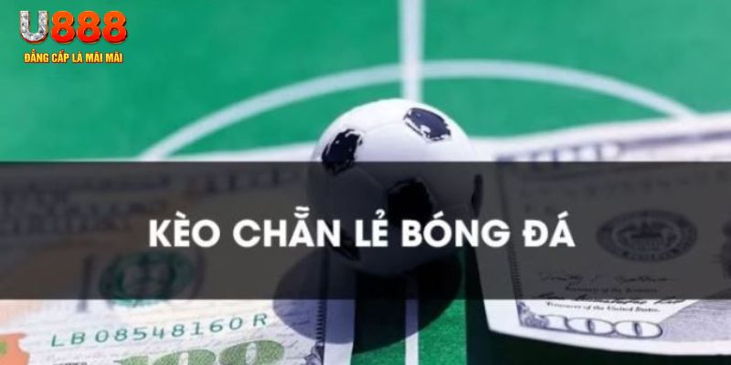 s6666 gà chọi c1.tv