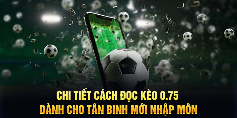 s6666 bắn cá nổ hũ là gì