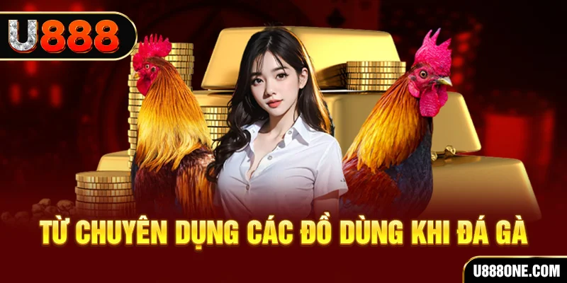 s6666 đá gà trực tiếp campuchia