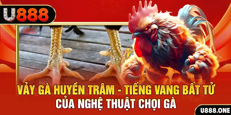 s6666 xổ số trực tiếp miền bắc
